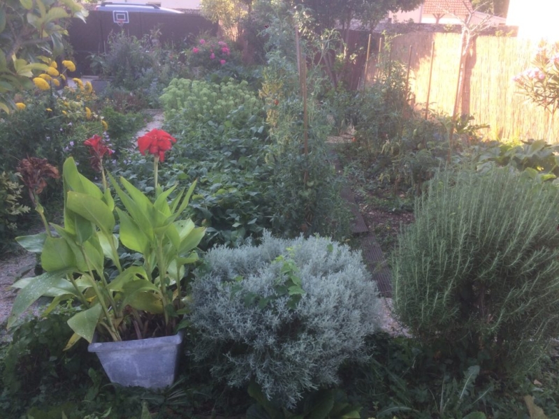Diversifie-les-vegetaux-pour-jardiner-malin-1024x768